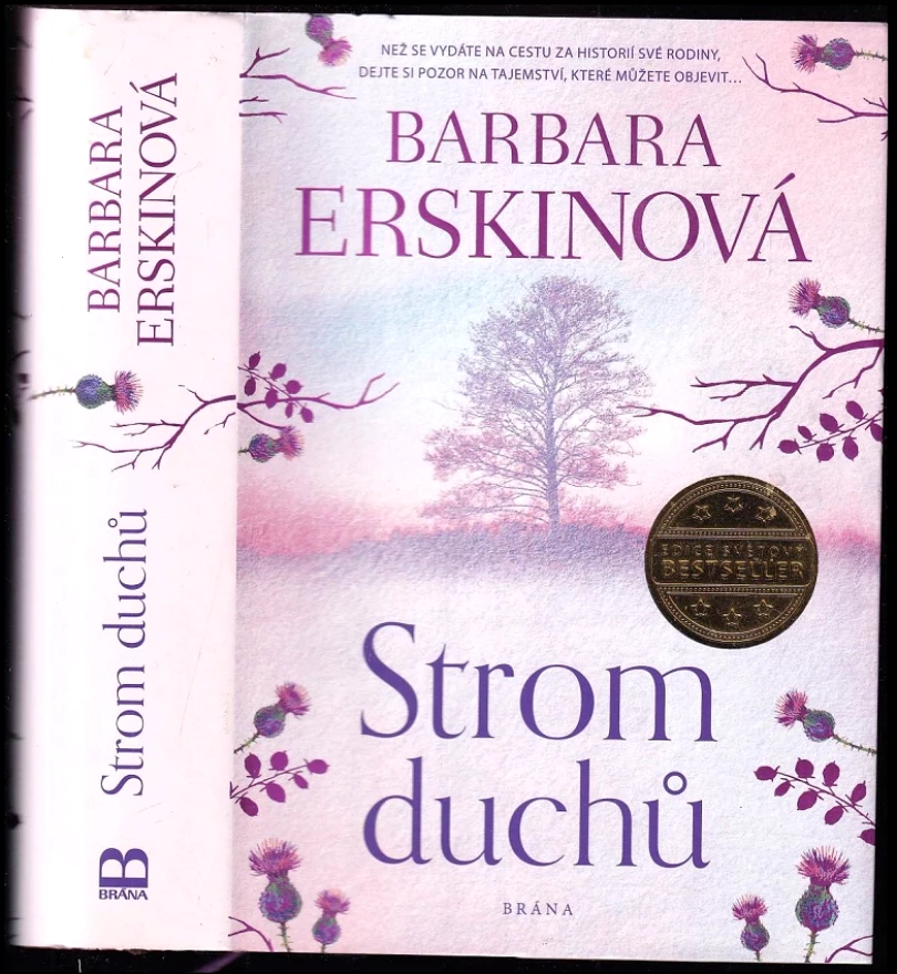 Levně Strom duchů (Barbara Erskine, 2019)