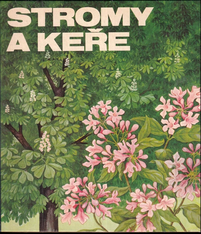Stromy a keře (Regine Süsskow, 1983)