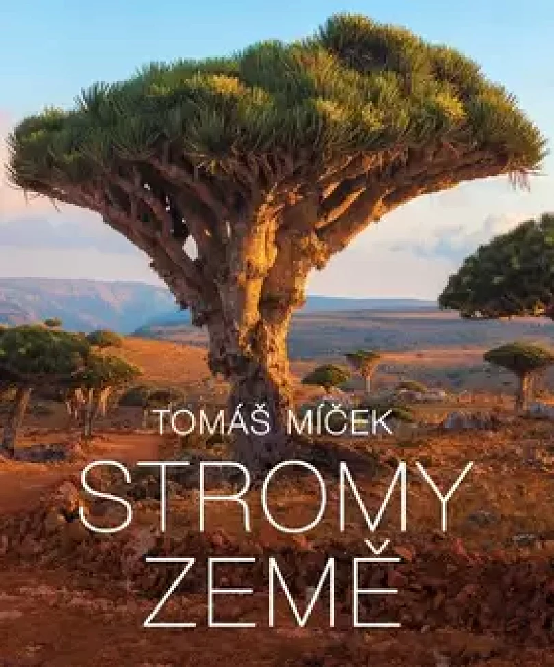 Stromy Země (Tomáš Míček, 2019)