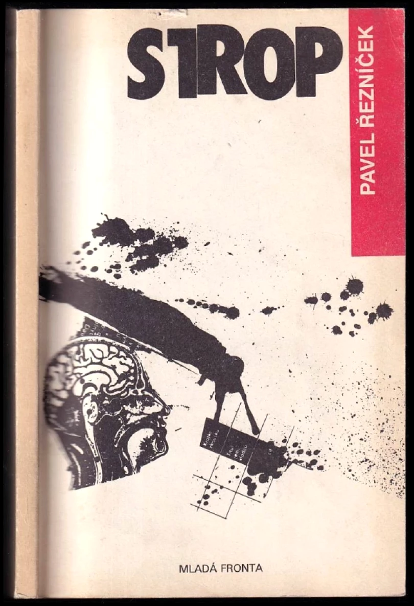 Levně Strop (Pavel Řezníček, 1991)