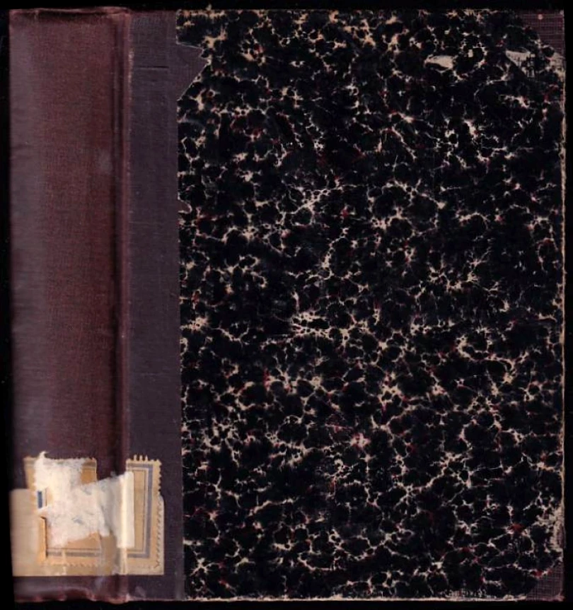 Levně Studie krátké a kratší (Jan Neruda, 1911)