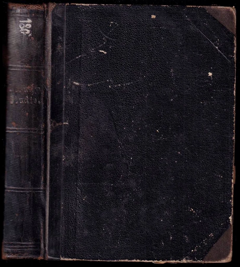 Levně Studie, krátké a kratší, oddíl I. (Jan Neruda, 1876)