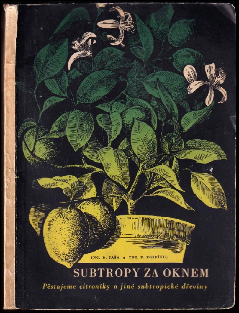 Levně Subtropy za oknem (Bohumil Jaša, 1957)