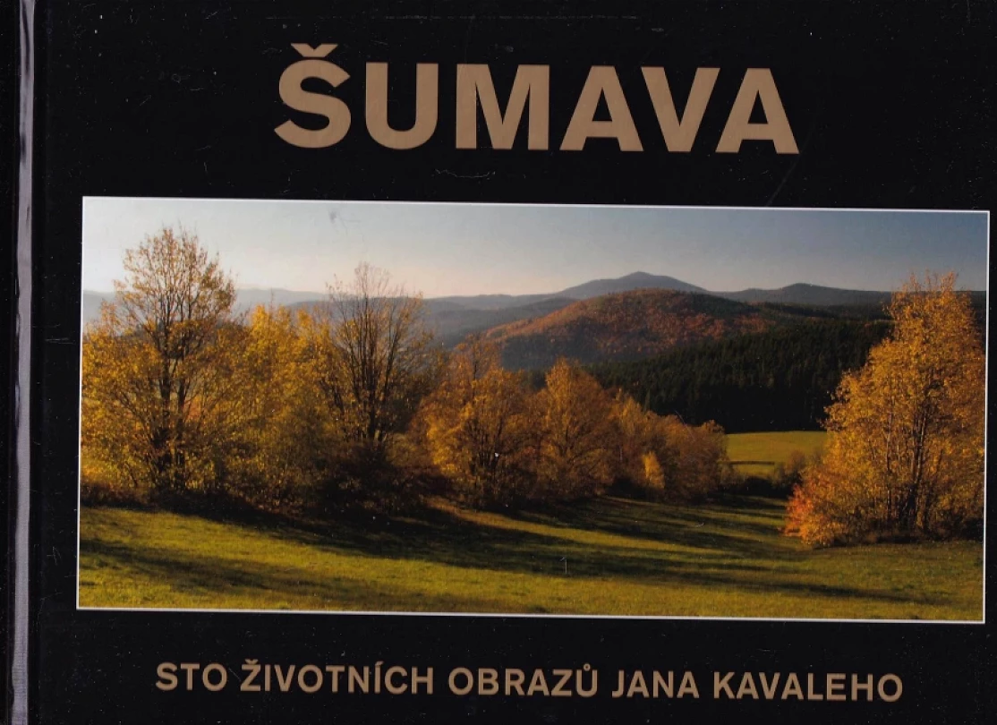 Šumava (Jan Kavale, 2010)