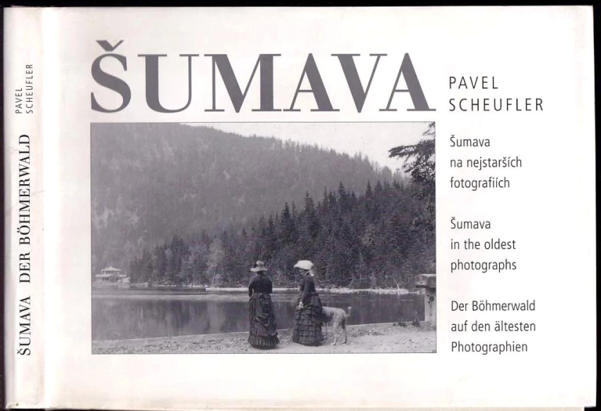 Šumava (Pavel Scheufler, 2003)