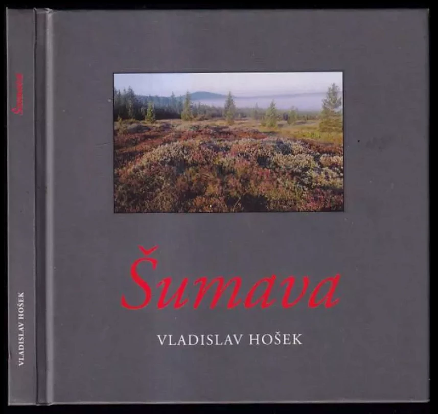 Šumava (Vladislav Hošek, 2004)