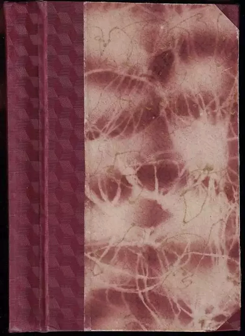 Šuškin v bojích (František Erik Šaman, 1934)