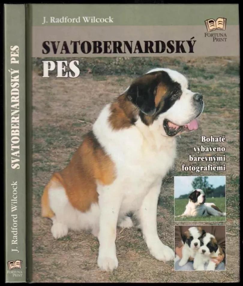 Svatobernardský pes (J. Radford Wilcock, 2006)