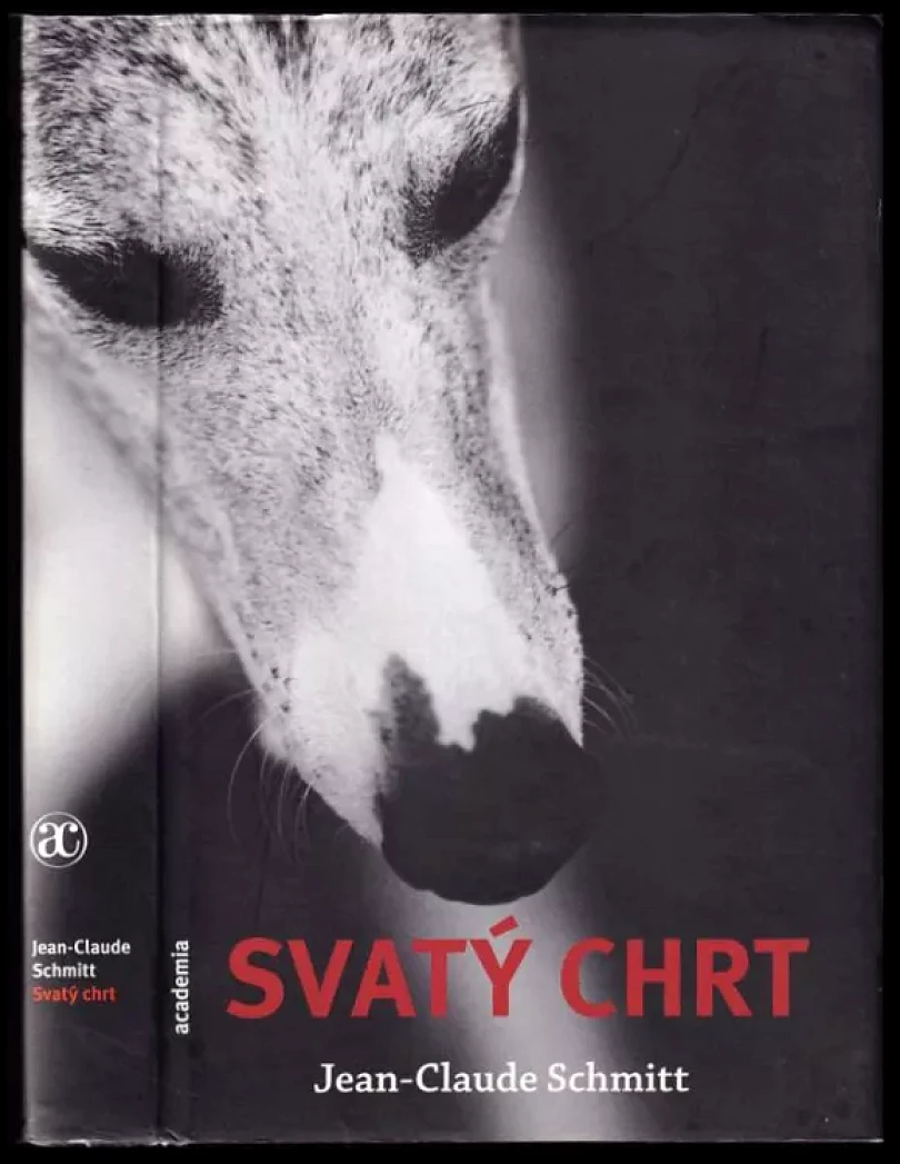 Svatý chrt (Jean-Claude Schmitt, 2007)