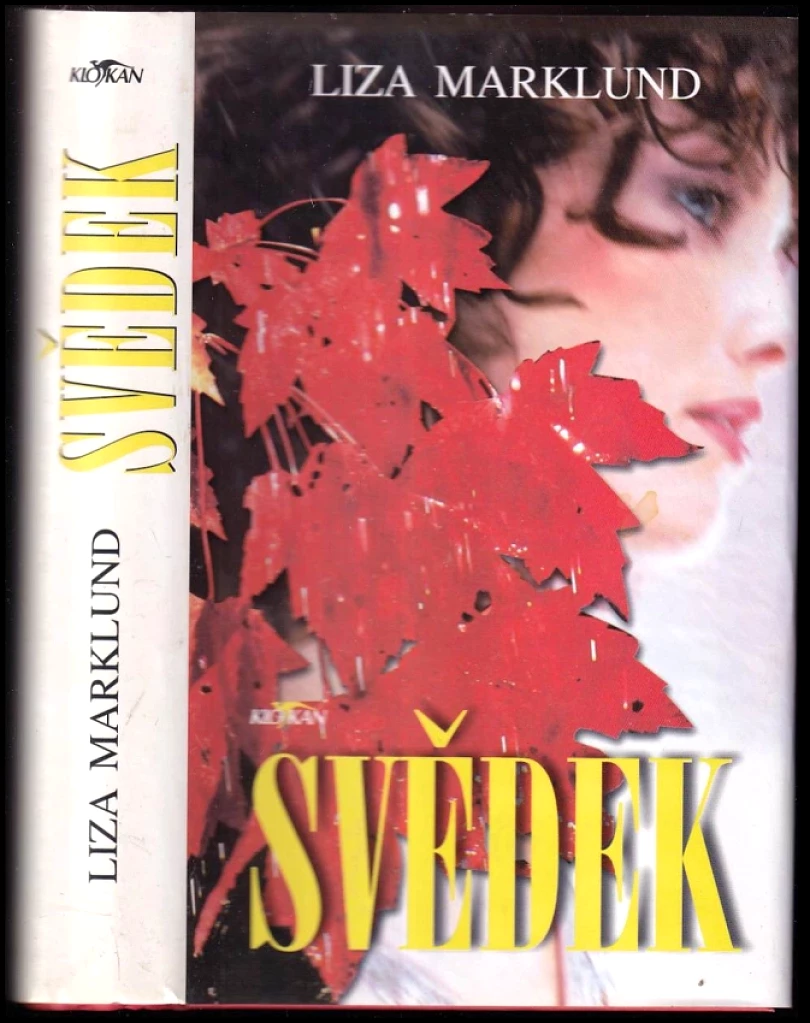 Svědek (Liza Marklund, 2004)