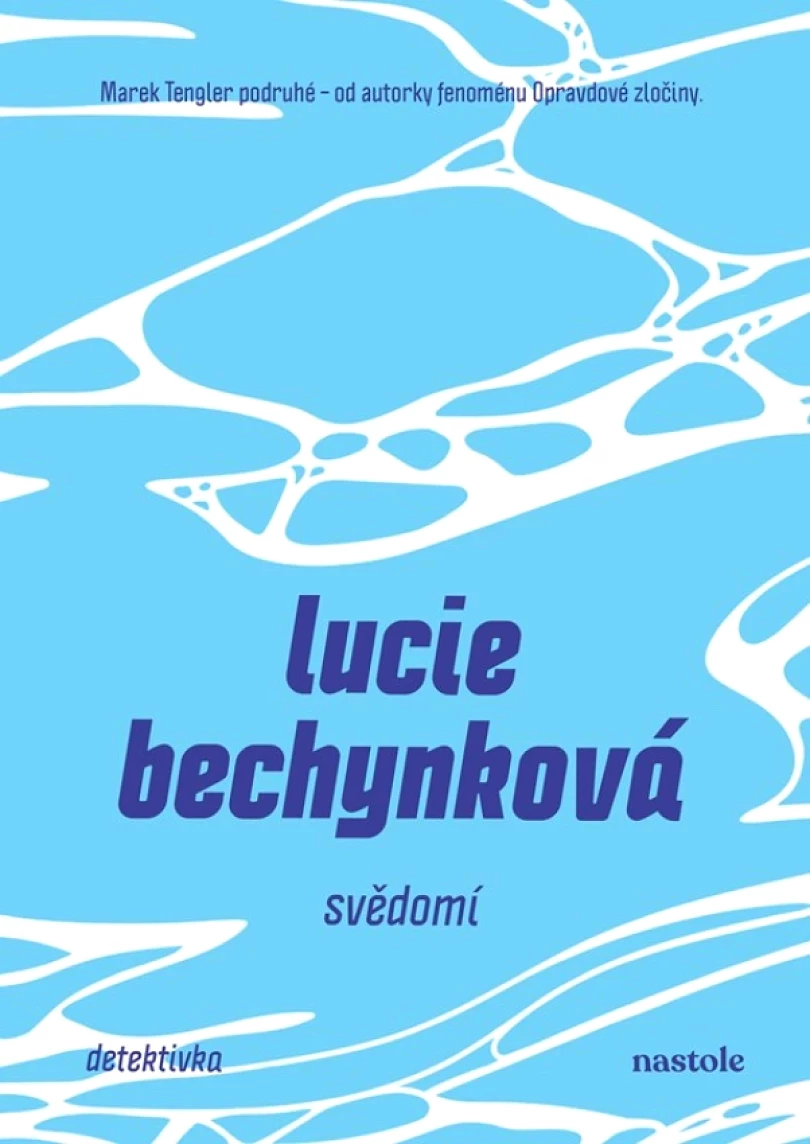 Levně Svědomí (Lucie Bechynková, 2025)