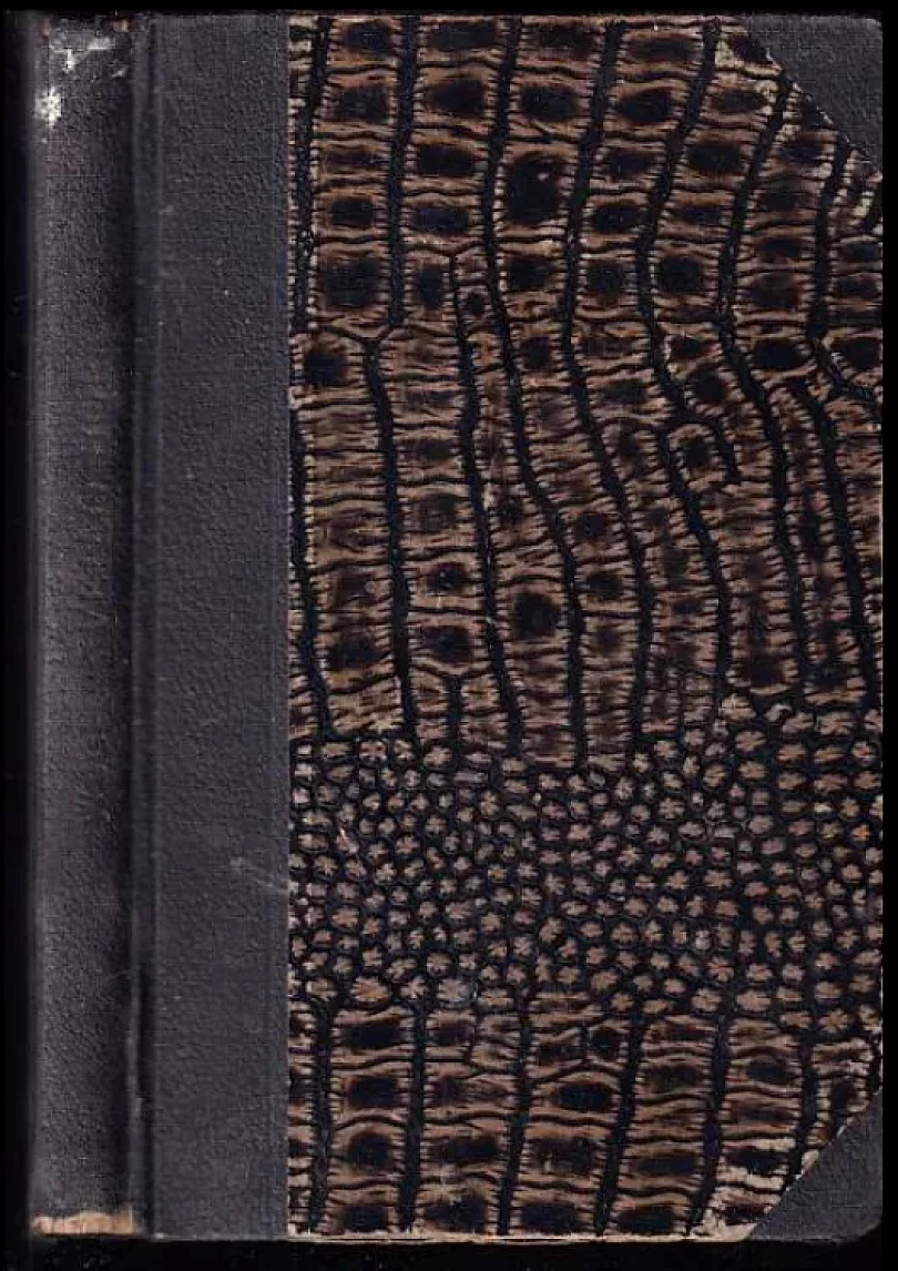 Světlo hor (Franz Weiser, 1941)