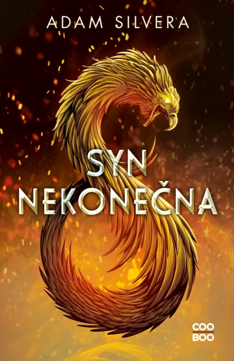 Levně Syn nekonečna (Silvera Adam, 2021)