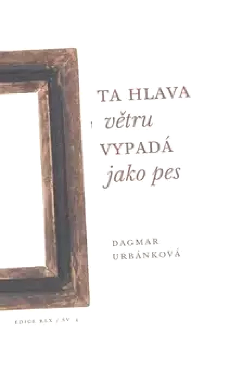Ta hlava větru vypadá jako pes (Dagmar Urbánková, 2008)