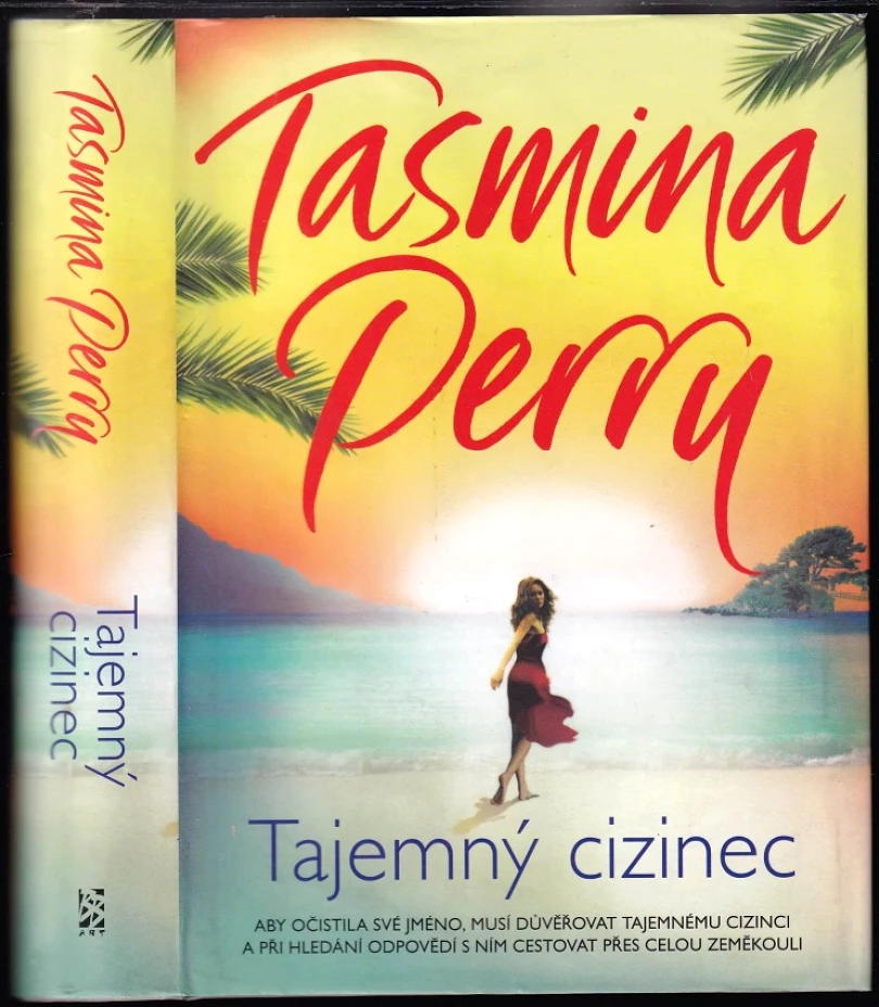 Tajemný cizinec (Tasmina Perry, 2017)