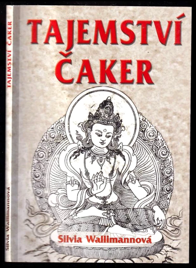 Levně Tajemství čaker (Silvia Wallimann, 2003)
