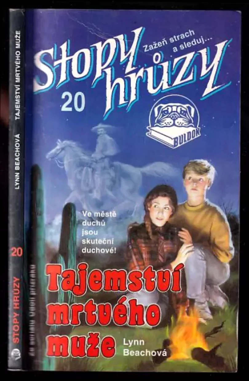 Levně Tajemství mrtvého muže (Lynn Beach, 1993)