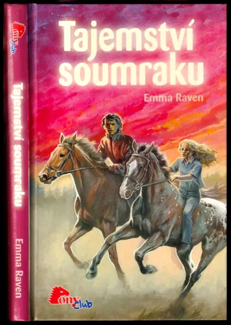Levně Tajemství soumraku (Emma Raven, 2008)