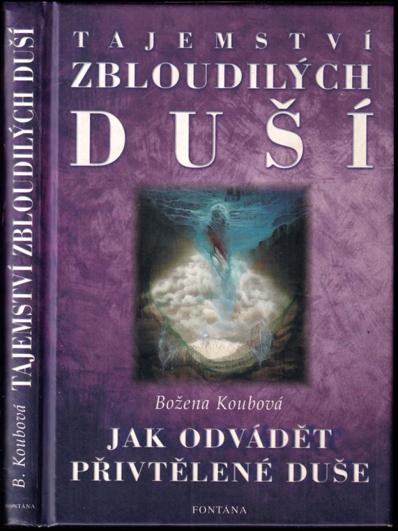 Levně Tajemství zbloudilých duší (Božena Koubová, 2002)