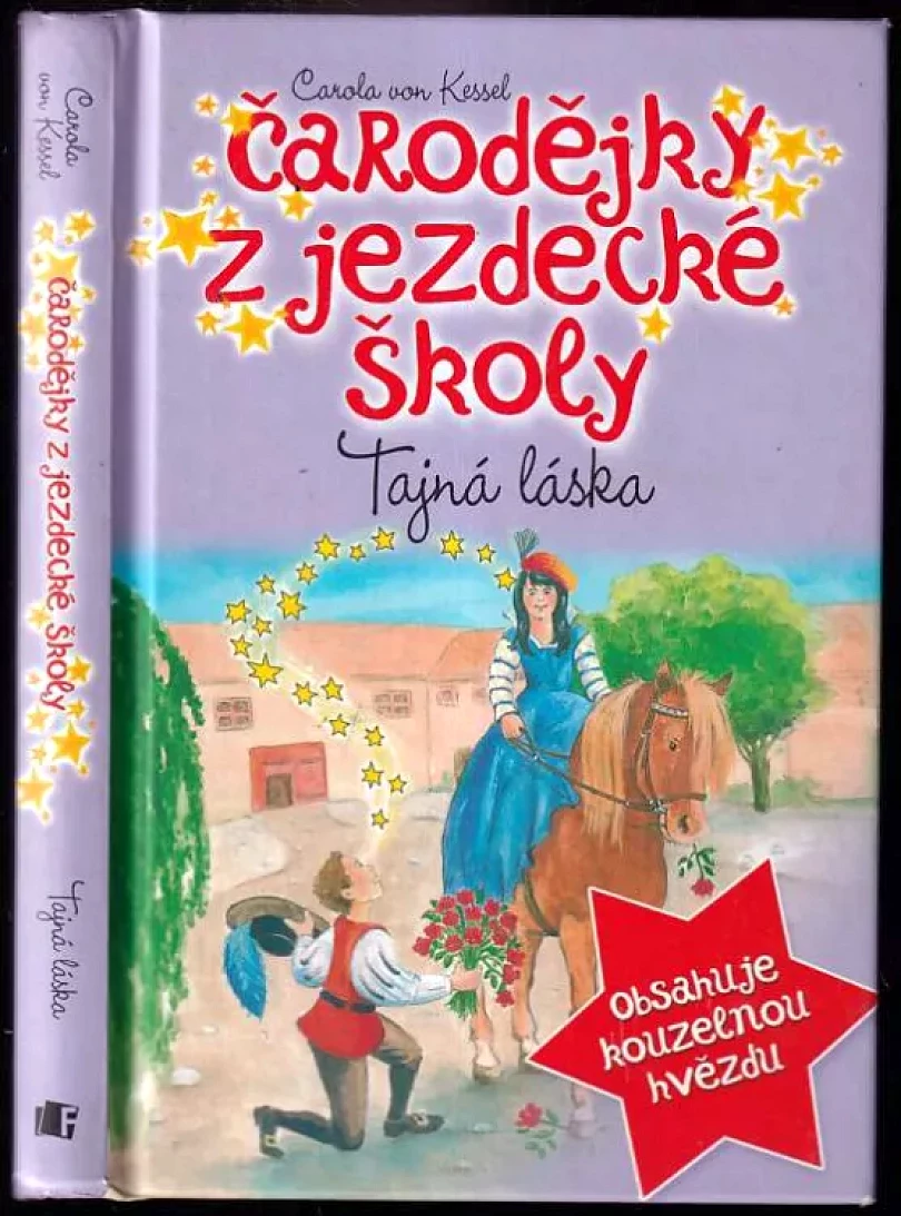 Levně Tajná láska (Carola von Kessel, 2015)