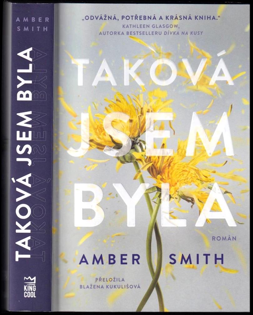 Levně Taková jsem byla (Amber Smith, 2025)