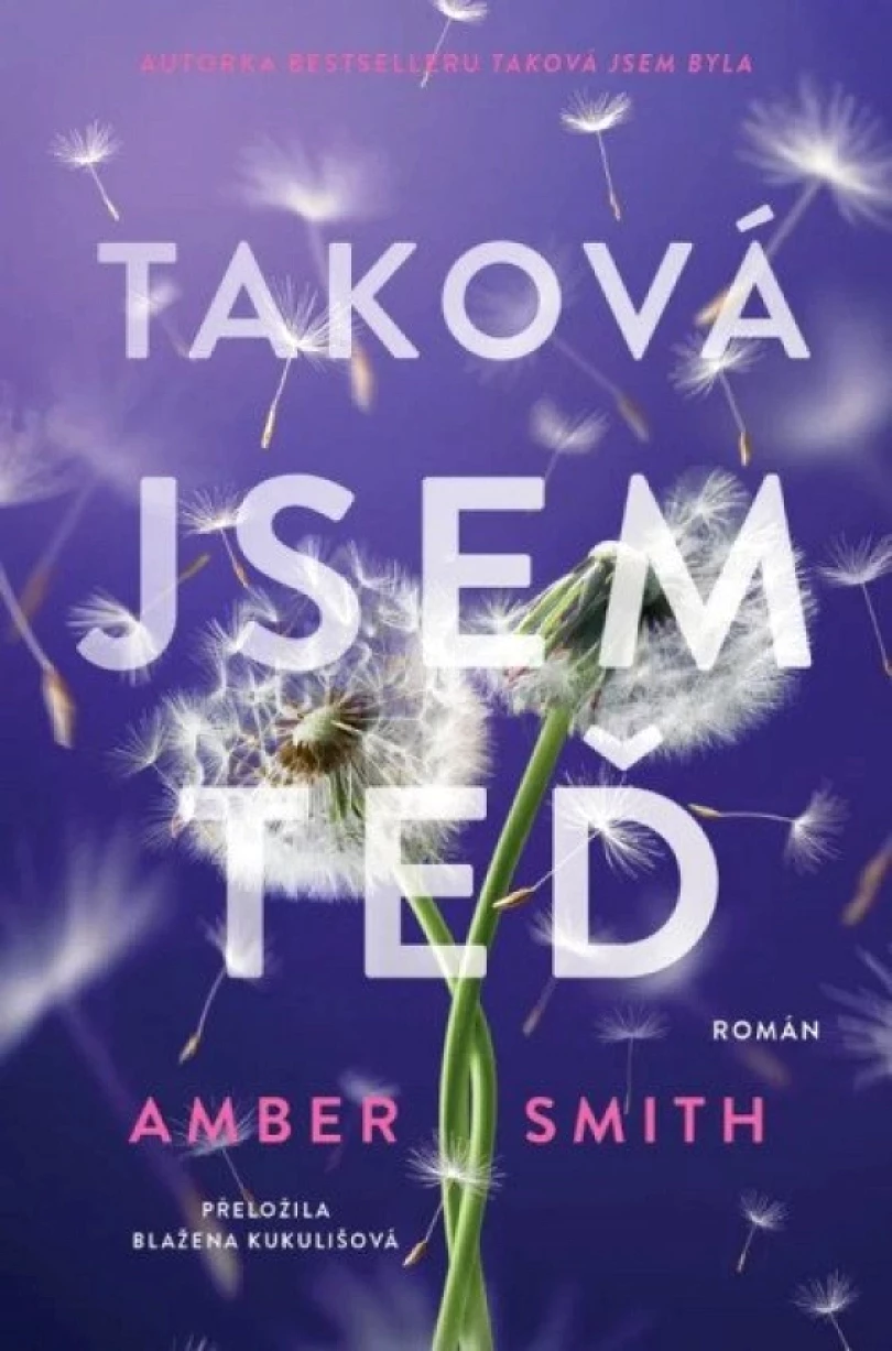 Levně Taková jsem teď (Amber Smith, 2025)