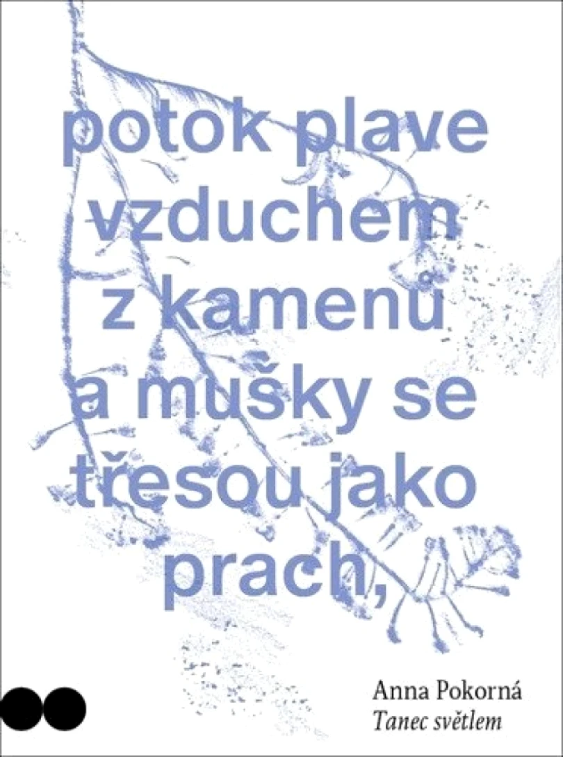 Levně Tanec světlem (Anna Pokorná, 2025)