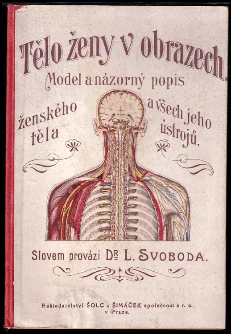 Levně Tělo ženy v obrazech (Luděk Svoboda, 1903)