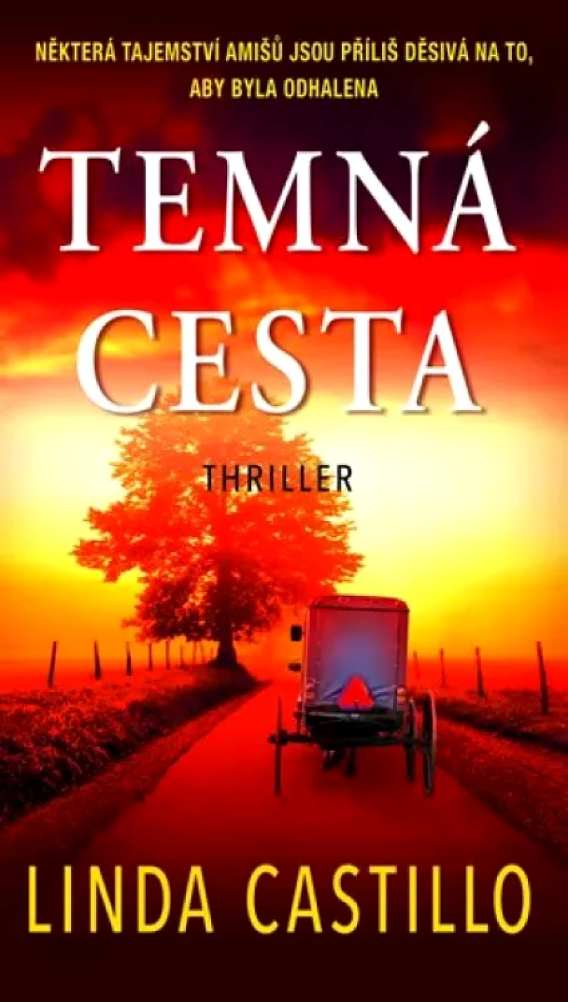 Levně Temná cesta (Linda Castillo, 2020)