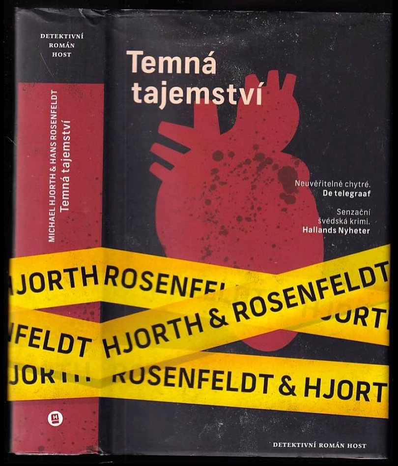 Levně Temná tajemství (Hans Rosenfeldt, 2013)