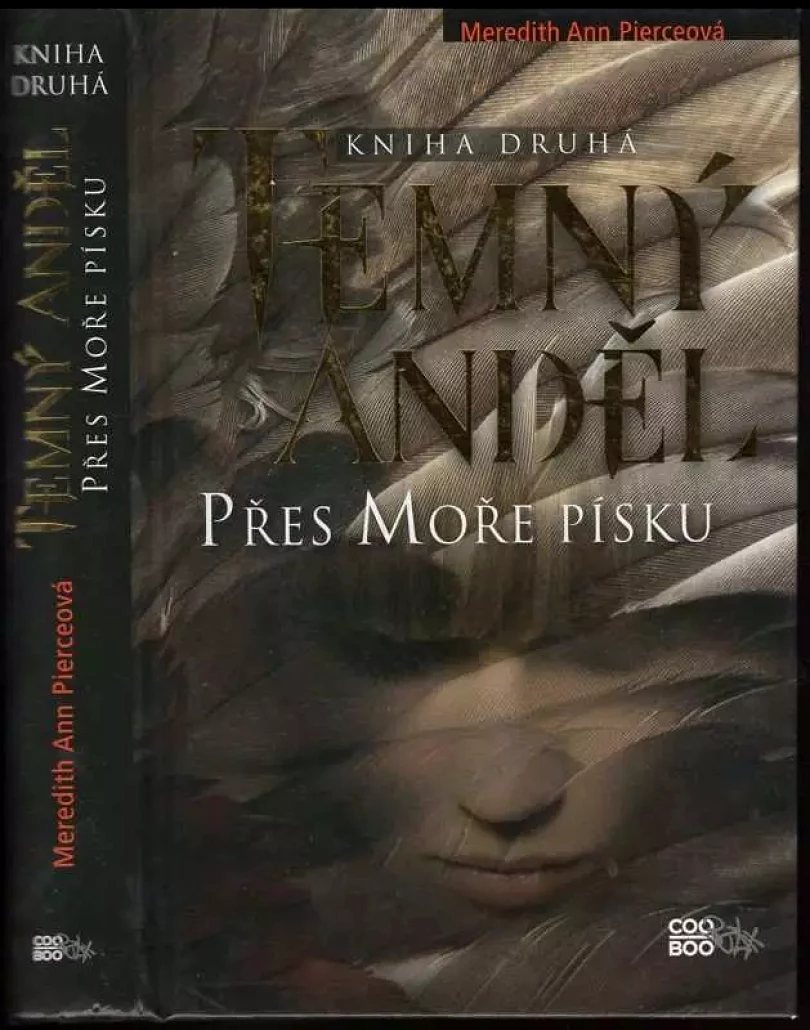 Levně Temný anděl (Meredith Ann Pierce, 2012)