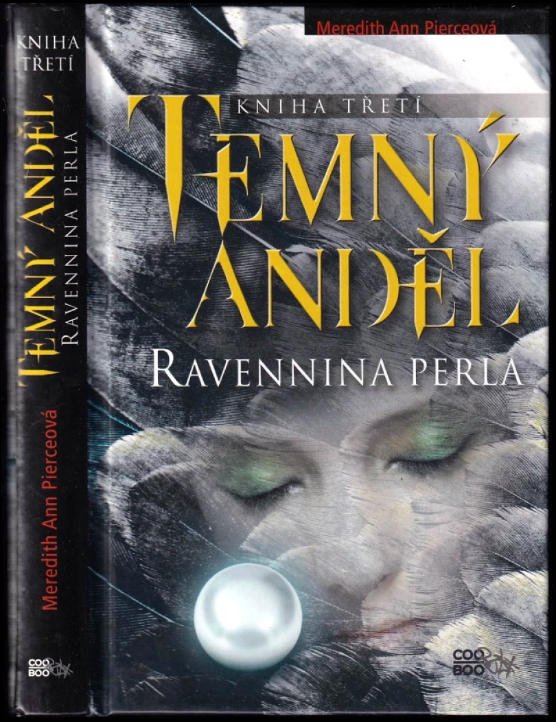 Temný anděl (Meredith Ann Pierce, 2013)