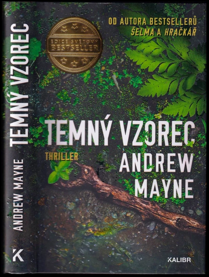 Temný vzorec (Andrew Mayne, 2020)