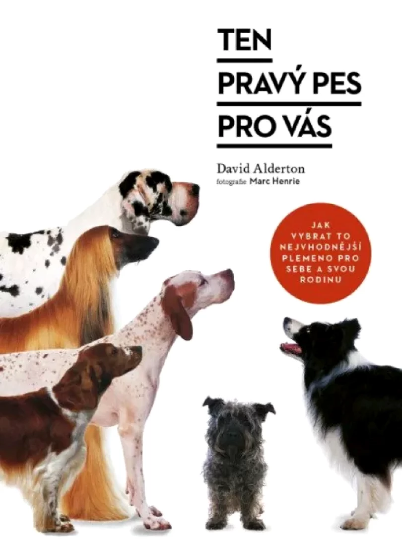 Ten pravý pes pro vás (David Alderton, 2021)