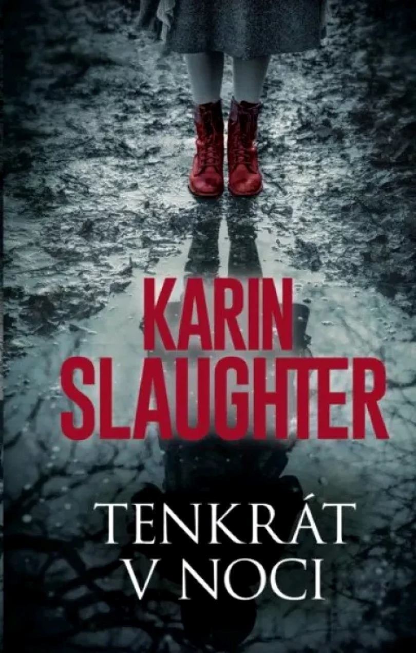Tenkrát v noci (Karin Slaughter, 2023)