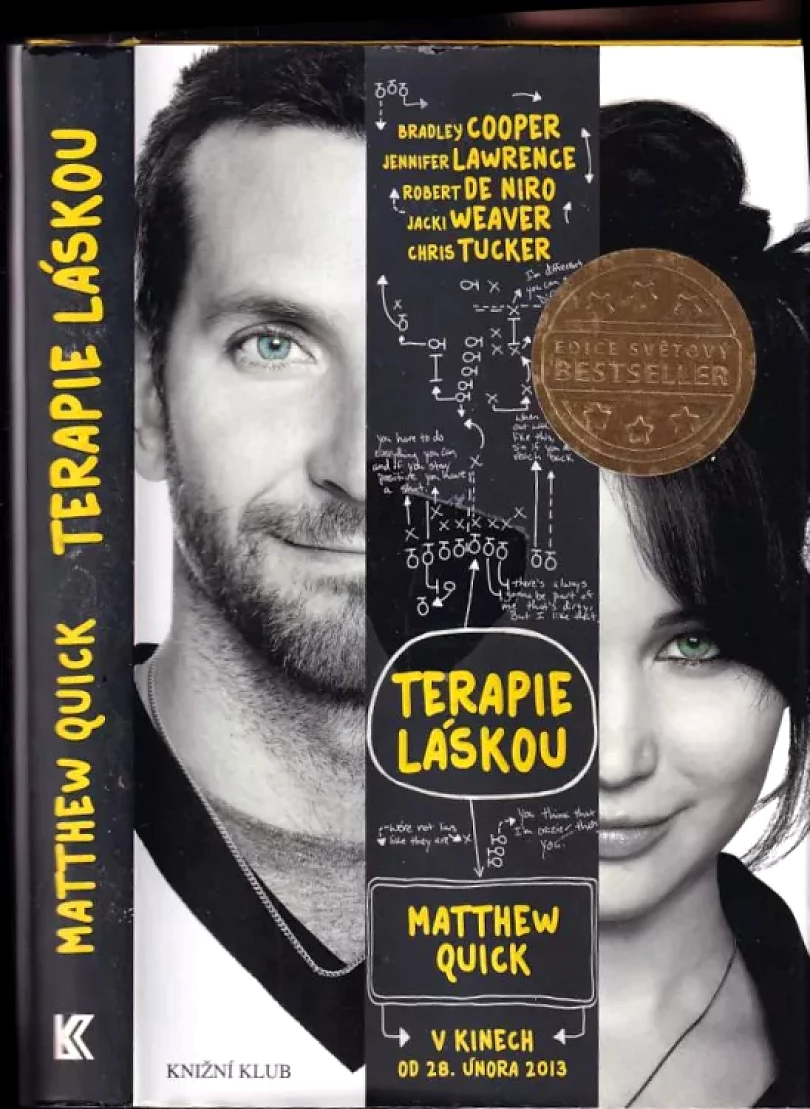 Terapie láskou (Matthew Quick, 2013)