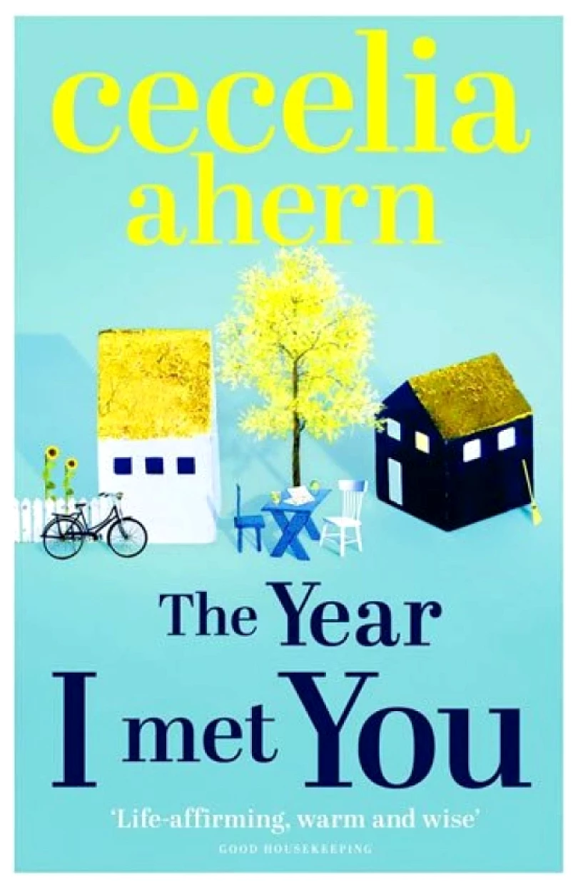 Levně The Year I Met You (Cecelia Ahern, 2015)