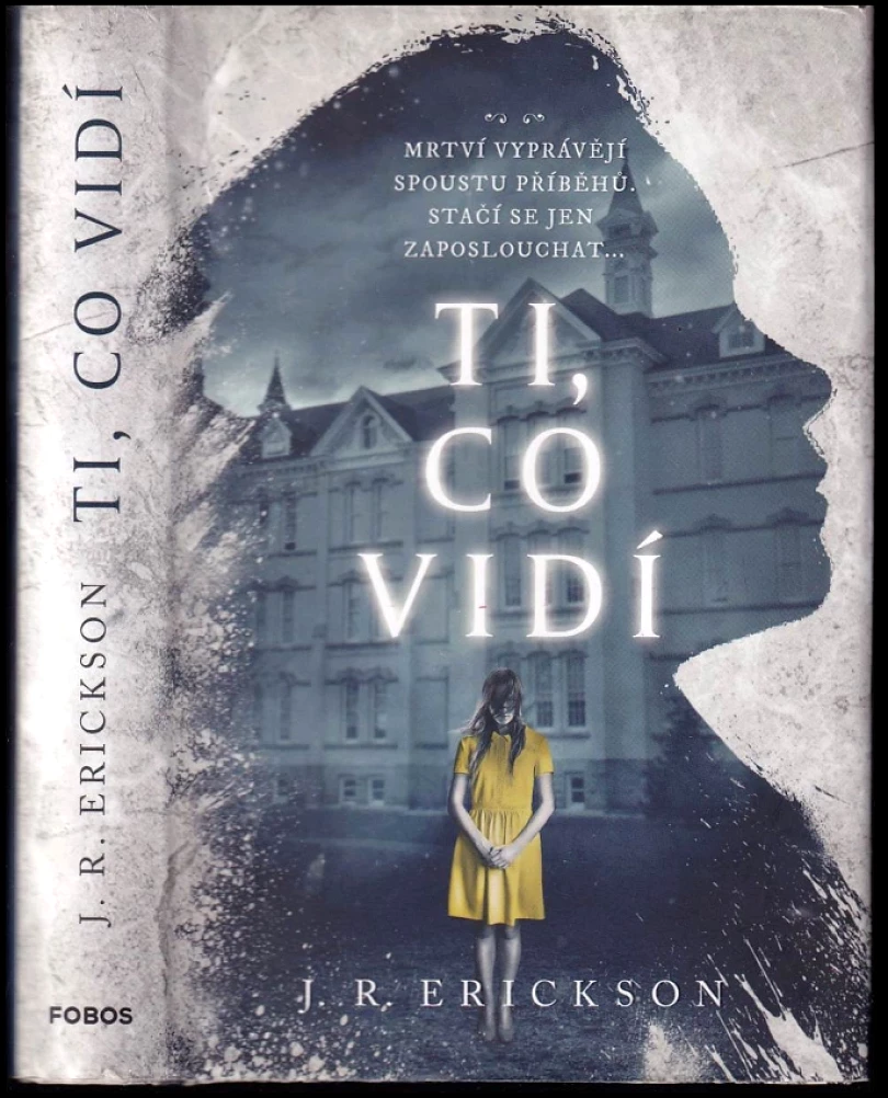 Levně Ti, co vidí (J. Erickson,, 2023)