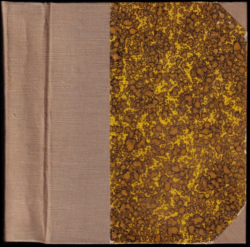 Levně Tichá trpitelka (J Gorlic, 1926)