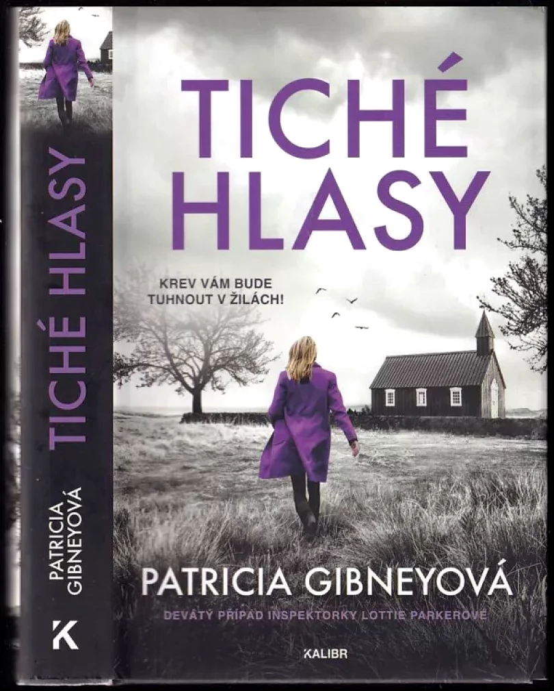 Tiché hlasy (Patricia Gibney, 2024)