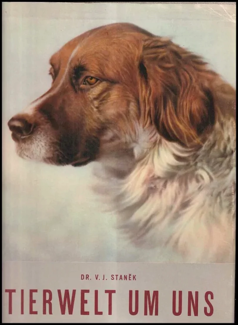 Levně Tierwelt um uns (Václav Jan Staněk, 1956)