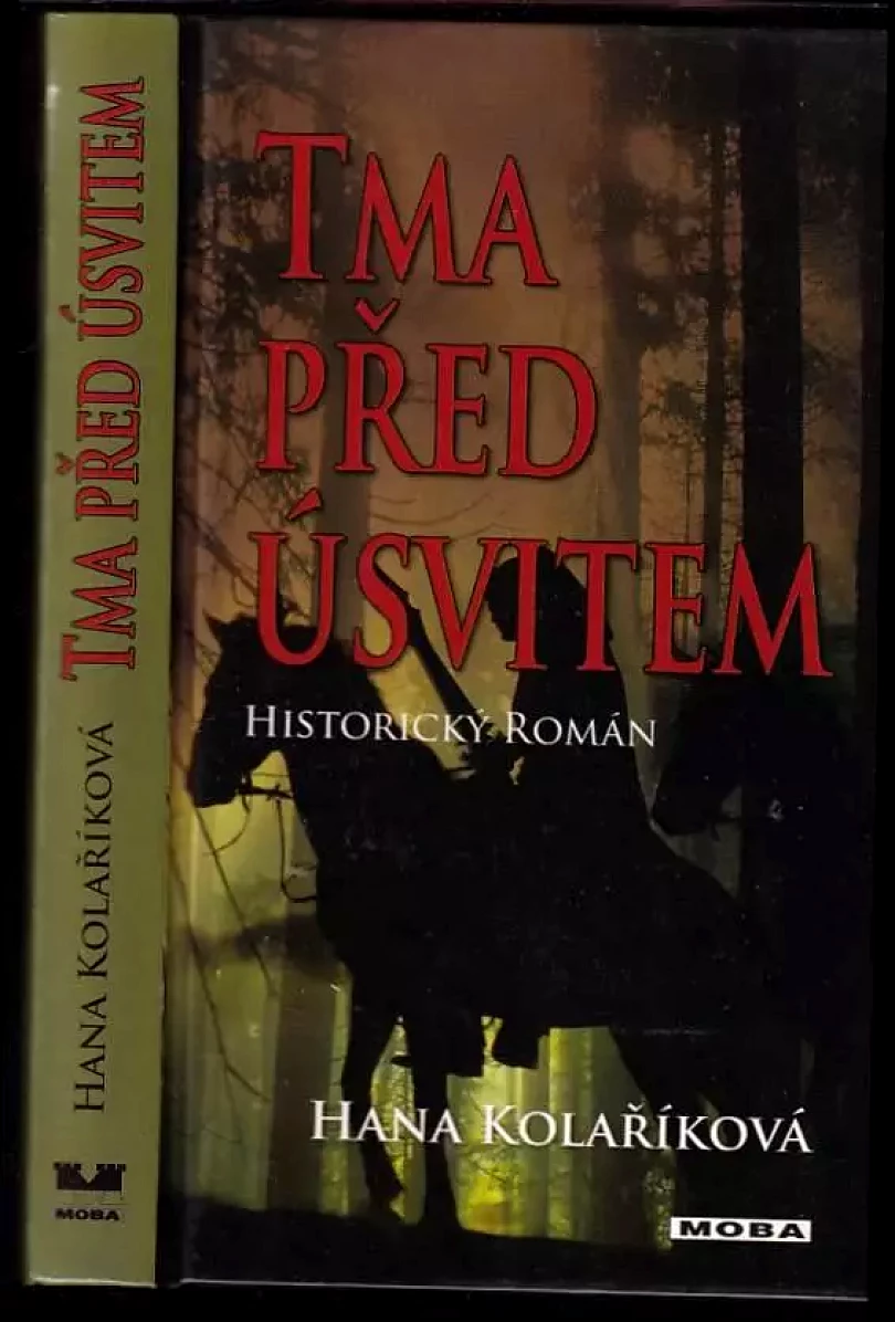 Levně Tma před úsvitem (Hana Kolaříková, 2011)
