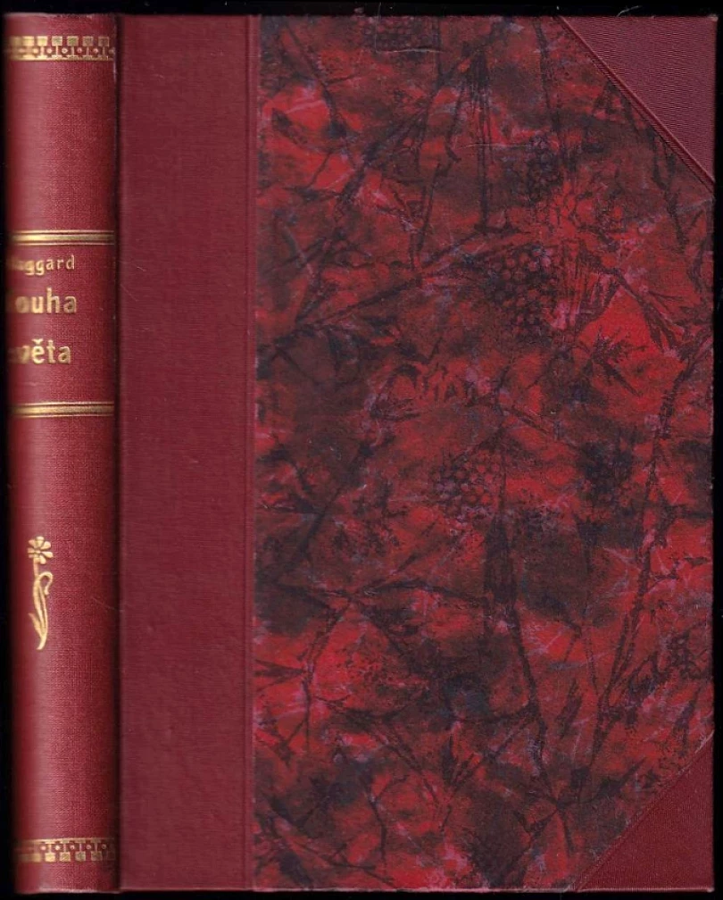 Touha světa (H. Rider Haggard, 1924)