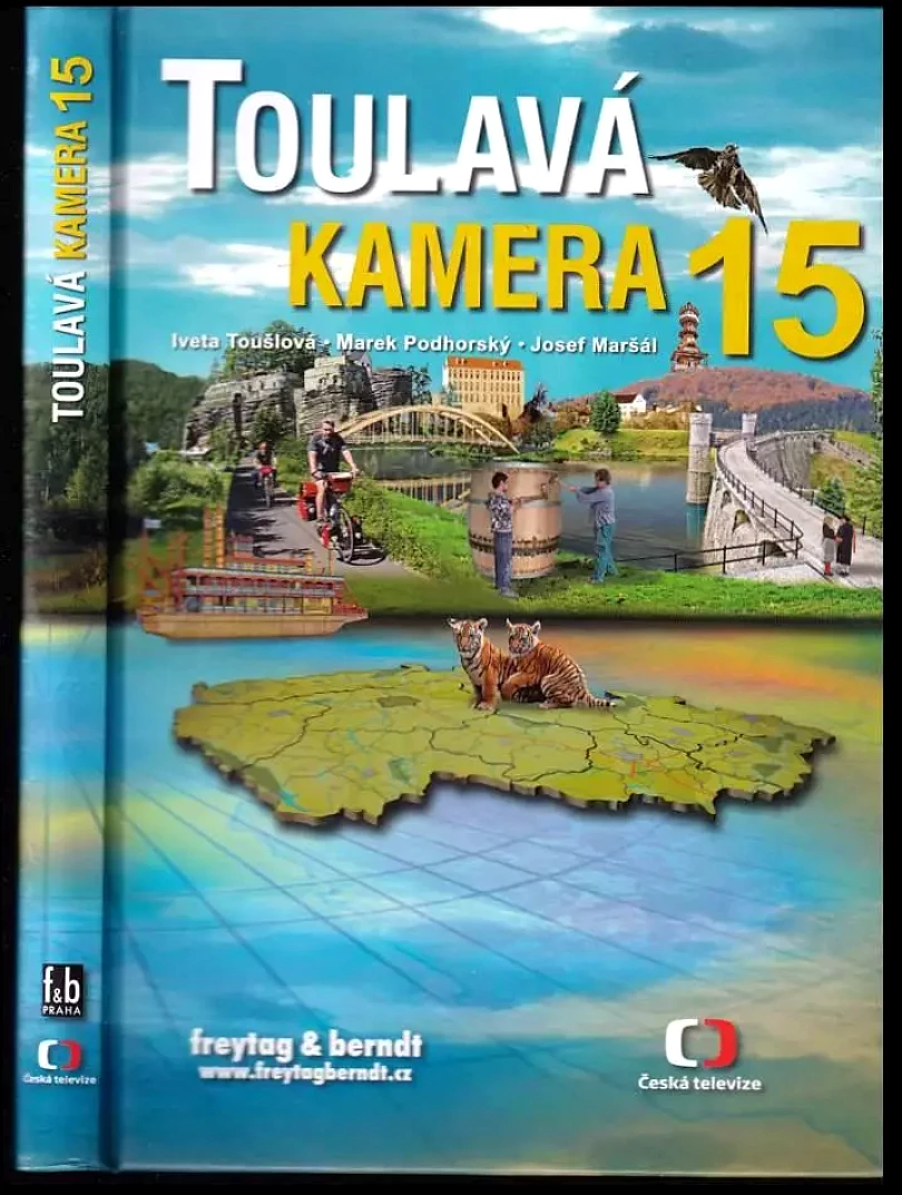 Toulavá kamera (Marek Podhorský, 2012)