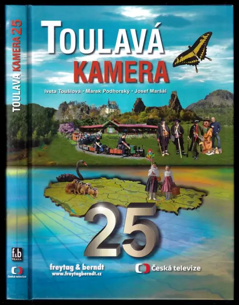 Toulavá kamera (Marek Podhorský, 2017)