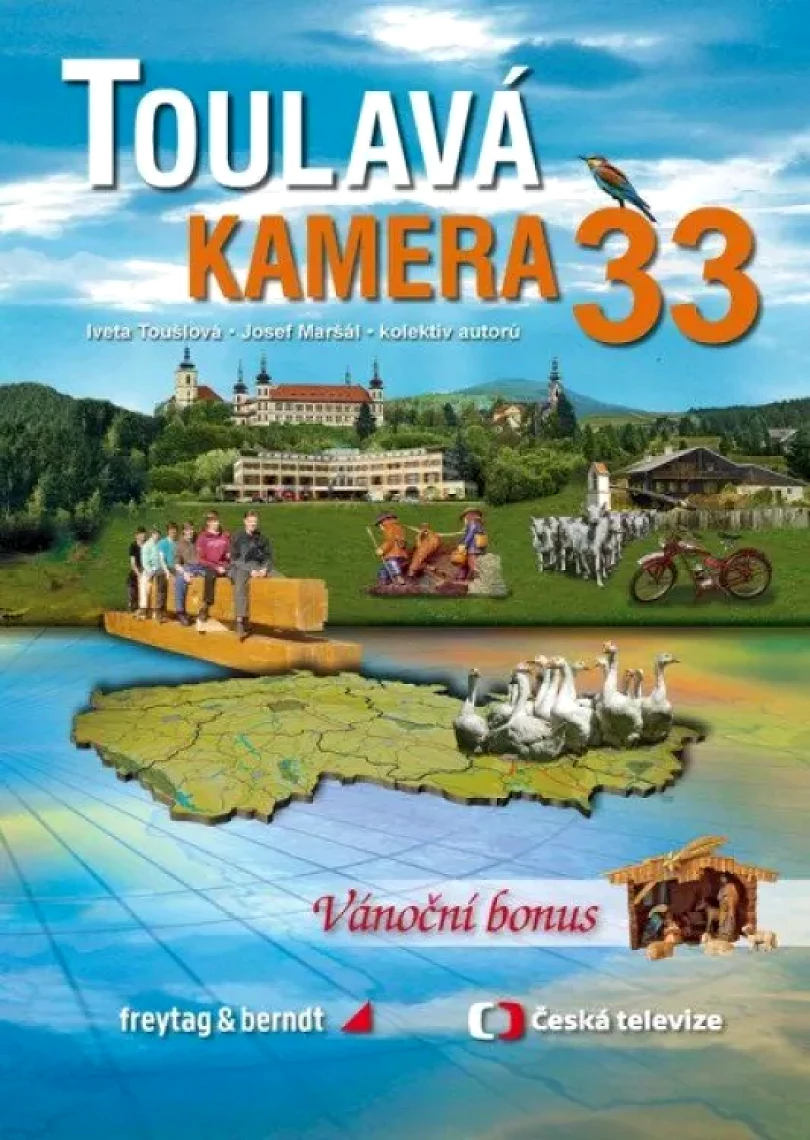 Toulavá kamera (Iveta Toušlová, 2021)