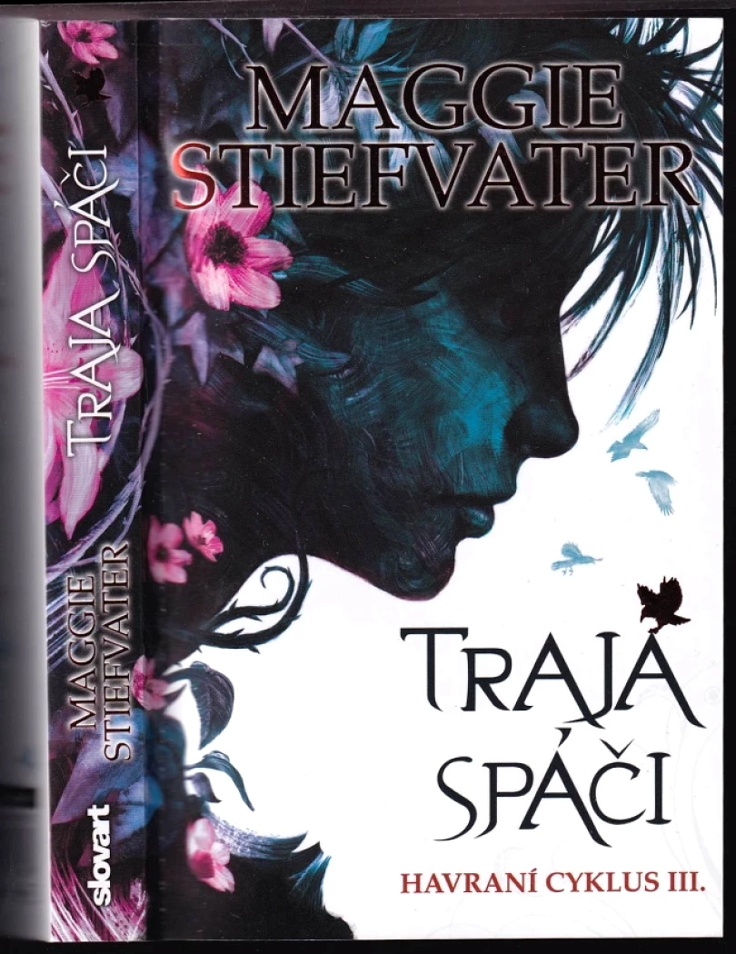Traja spáči (Maggie Stiefvater, 2018)