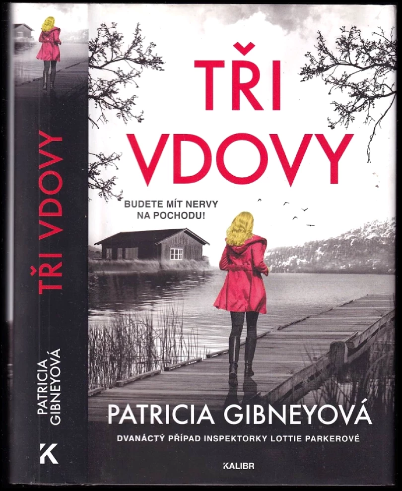Levně Tři vdovy (Patricia Gibney, 2025)