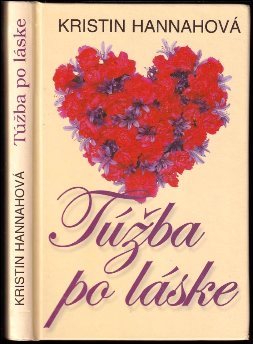 Levně Túžba po láske (Kristin Hannah, 2009)