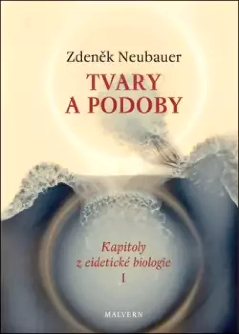 Tvary a podoby (Zdeněk Neubauer, 2024)